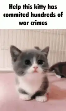 Help this kitty has commited hundreds of war crimes