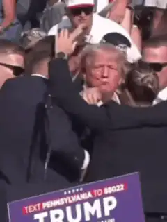 Donald Trump Fight GIF