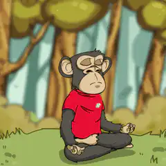 Meditating monkey in forest