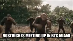 Dancing Apes in Jungle