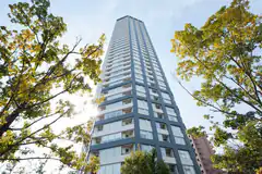 Tall modern skyscraper between trees