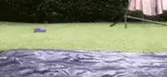 man sliding on wet tarp