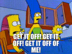 Homer Simpson gets a toaster stuck on his head