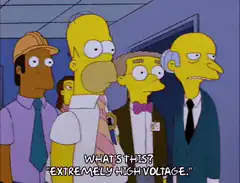 Simpsons group looking at high voltage