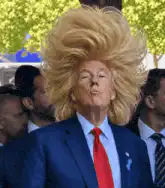 Donald Trump pointing with wild hair