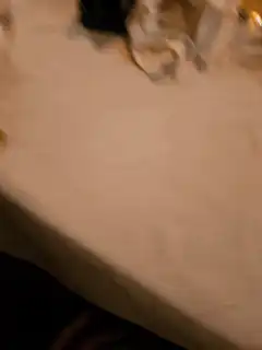 hand shaking a cocktail shaker