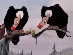 Two vultures perched on a branch