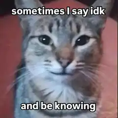 cat sometimes i say idk and be knowing