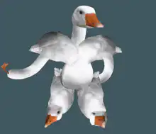 multi-headed goose dancing