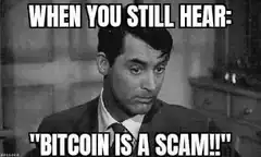 When You Still Hear Bitcoin Is A Scam