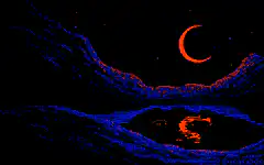 pixel art landscape with crescent moon