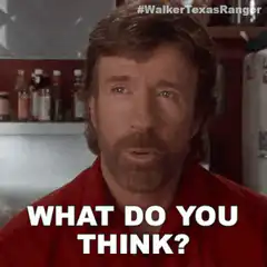 Chuck Norris What Do You Think