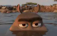 Maurice the Aye-Aye from Madagascar