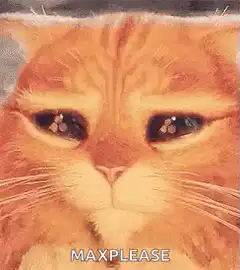 Orange cat with big sad eyes