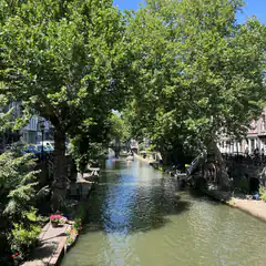 canal with trees and boats