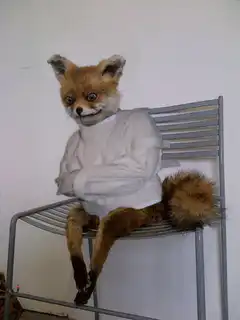 taxidermy fox in sweater