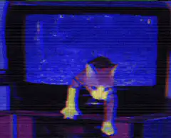 cat on tv screen