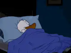 Donald Duck sleeping in bed