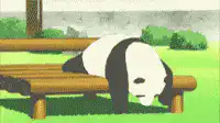 panda falling off bench
