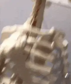 Skeleton head shaking no