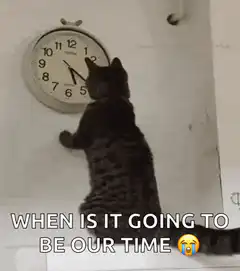 Cat watching clock when is it our time