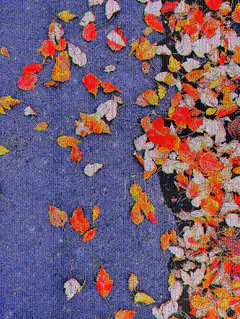falling autumn leaves on blue fabric