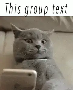Cat holding phone with notification