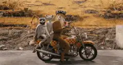 Three dogs on a motorcycle howling at a wolf