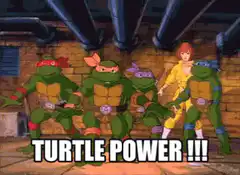 Teenage Mutant Ninja Turtles Turtle Power