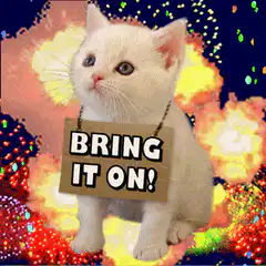 Kitten with Bring It On sign and fireworks