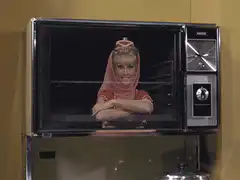 Woman explodes in microwave