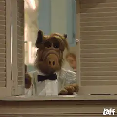ALF Good Morning Sir