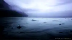 raindrops on lake surface