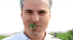Man eating kale with hairnet