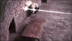 Panda dodges laser beams and fire