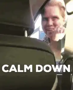 Woman in car saying calm down