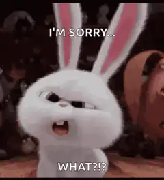 Snowball I'm Sorry What