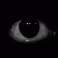 Grainy eye blinking