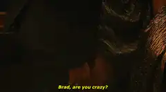 Woman in sparkly dress asks Brad are you crazy
