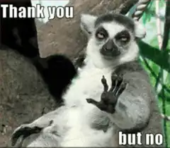 lemur saying thank you but no