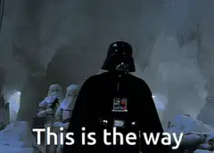 Darth Vader This is the way