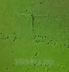 Green textured smiley face