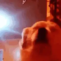 dog looking at lighter