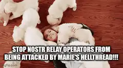 woman buried under puppies stop nostr relay operators
