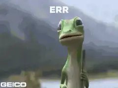 Gecko says ERR THAT DOESN'T MAKE ANY SENSE