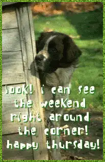 dog peeking fence happy thursday
