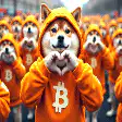 Shiba Inu in Bitcoin hoodie