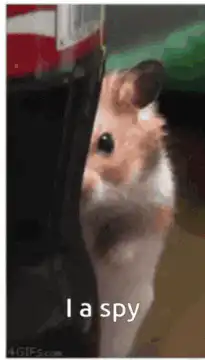 Hamster I spy green caterpillar