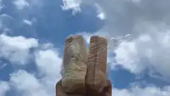 two wrapped sandwiches held up against the sky