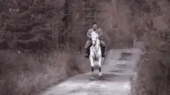 Man riding white horse on snowy path